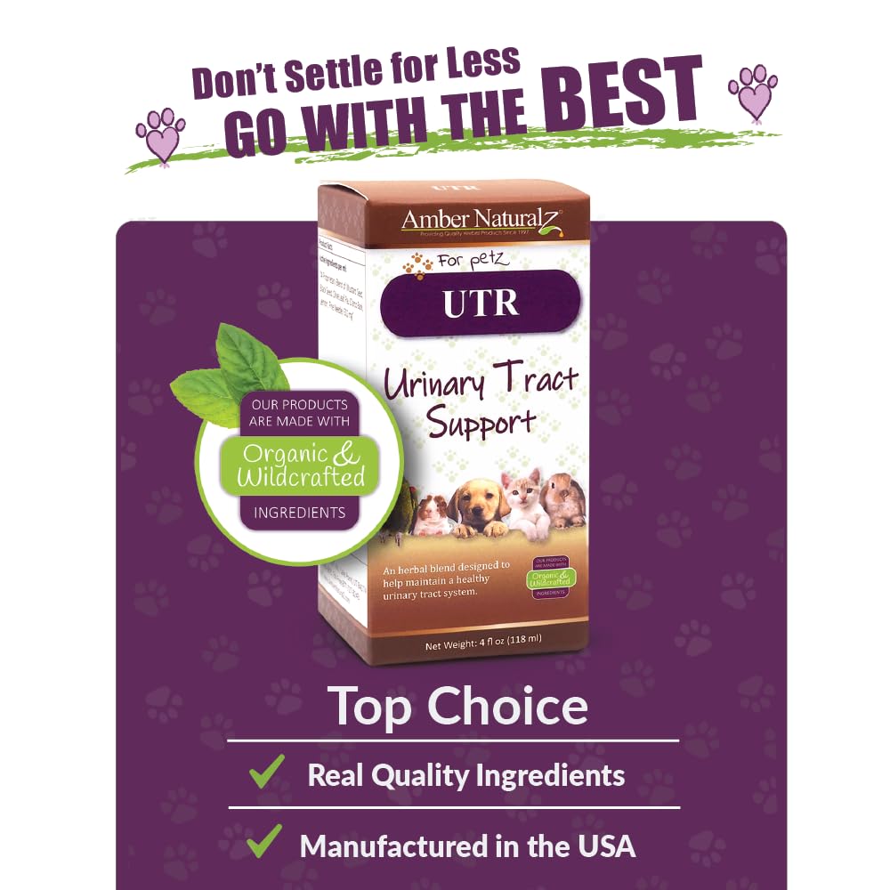 AMBER NATURALZ UTR Urinary Tract Herbal Supplement for Dogs, Cats, Birds, Guinea Pigs, and Rabbits | Pet Herbal Supplement for B